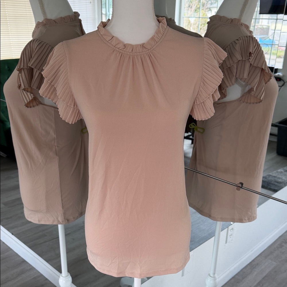 Adrianna Papell Pleated Ruffle Sleeve Top in Blush Pink